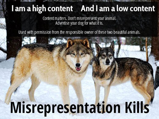 RISK-TAKING COMPARISON IN DOGS & WOLFS