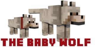 WATCH DOG & PUPPY VIDEO !!!