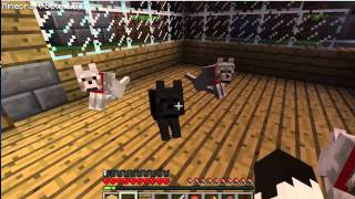 WATCH DOG & PUPPY VIDEO !!!