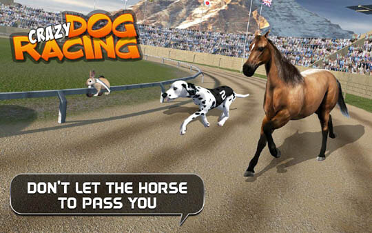 DOG VS HORSE RACING